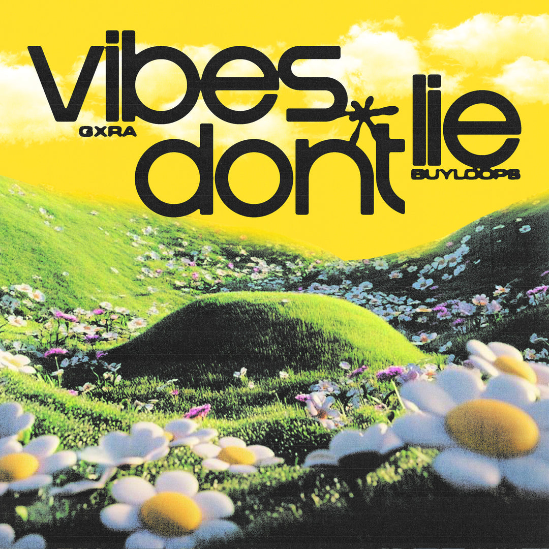 Vibes Don't Lie