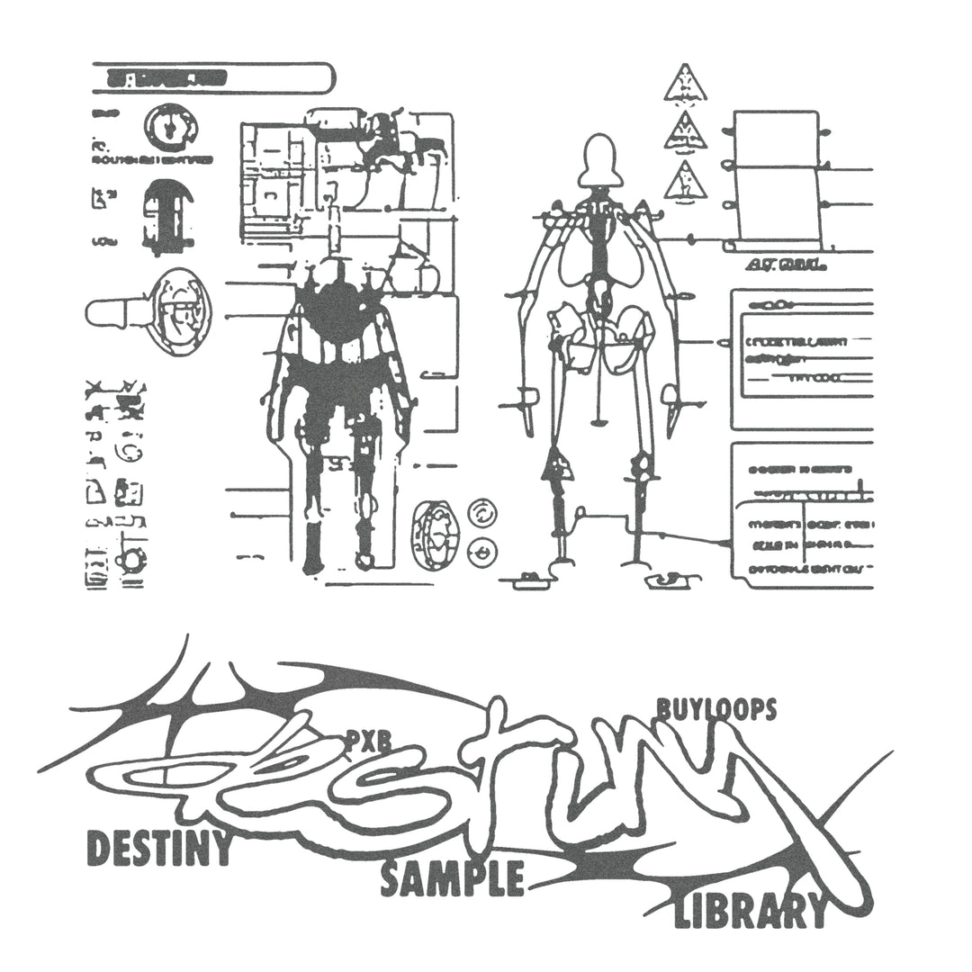Destiny