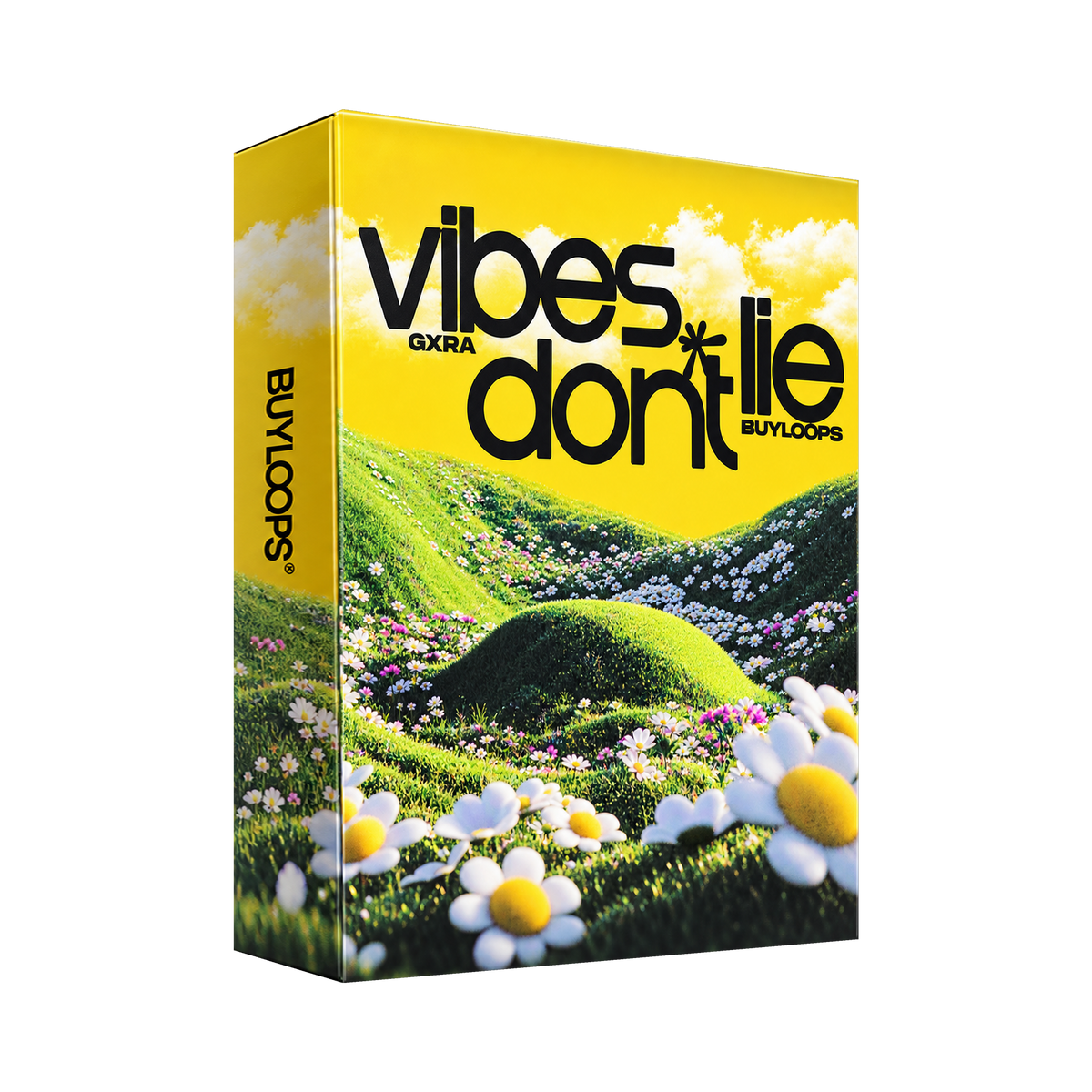 Vibes Don't Lie