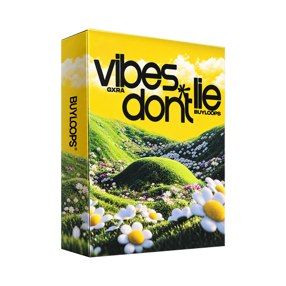 Vibes Don't Lie